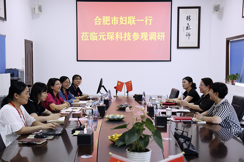 合肥市妇联第一调研组赴利澳国际注册科技调研指导